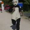 Panda from WWF